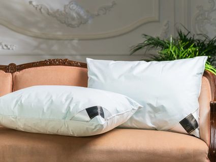 Подушка Trois Couronnes Cryo Night Pillow 219