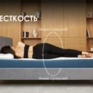 Матрас Димакс Практик Базис плюс 1000 200х195